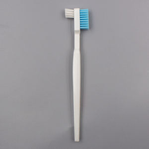 Cepillo de la dentadura