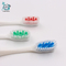 Cepillo de dientes para adultos de diseño simple: gran lugar para imprimir